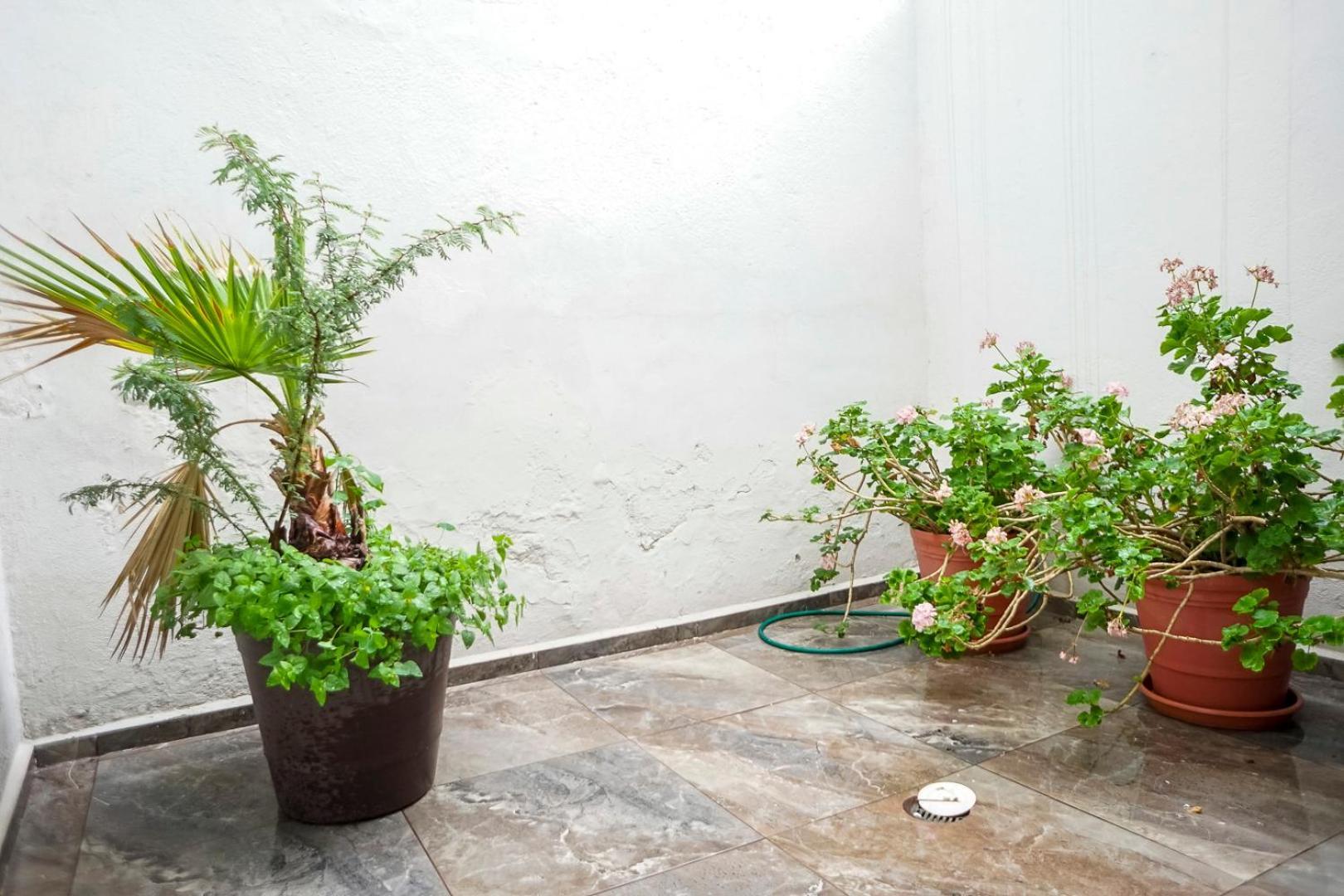 Casa Morelos Stayhouse San Luis Potosi Luaran gambar