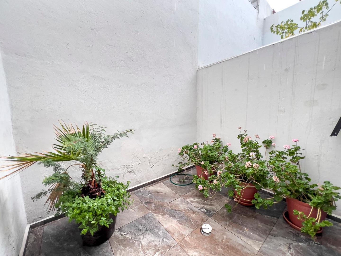 Casa Morelos Stayhouse San Luis Potosi Luaran gambar