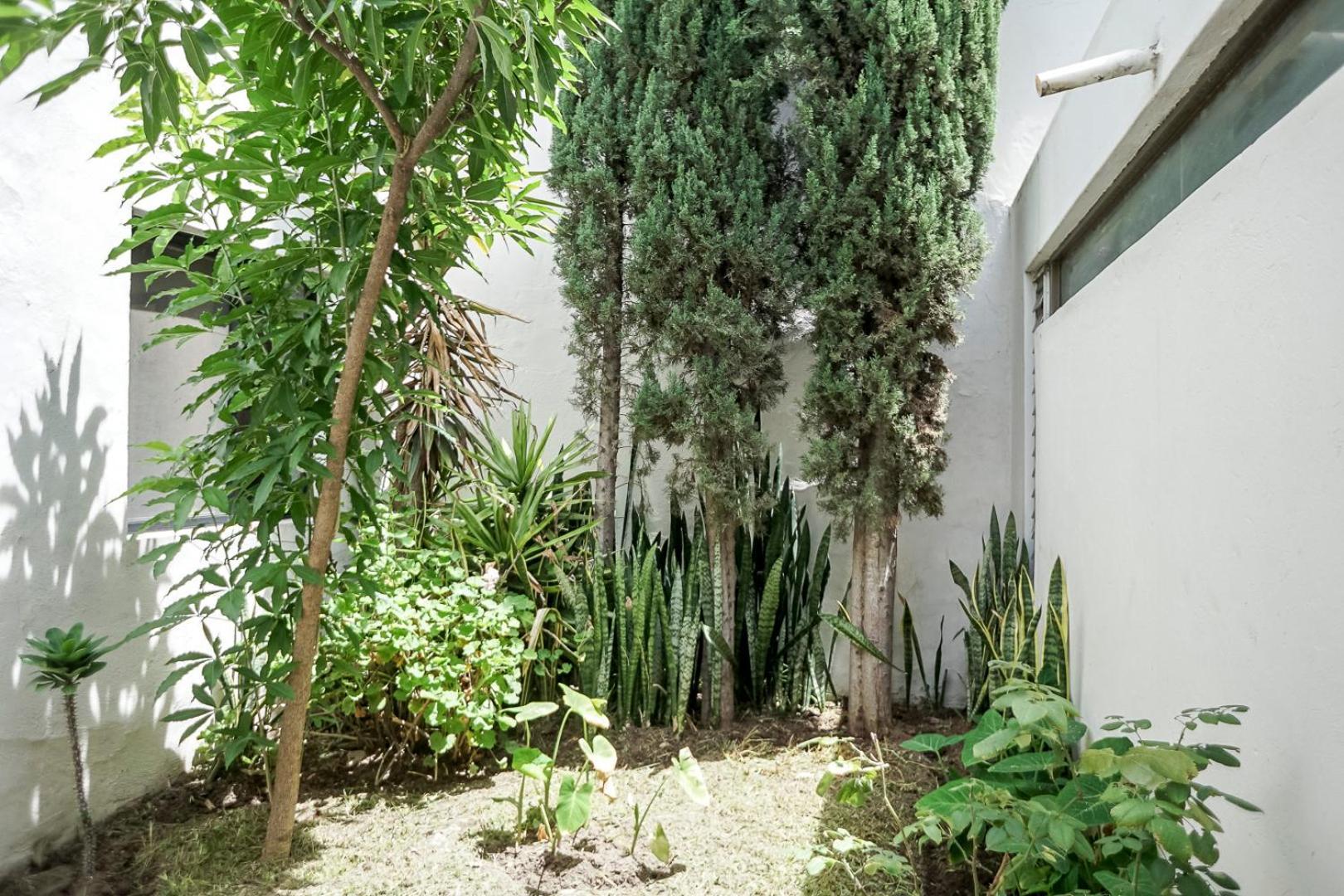 Casa Morelos Stayhouse San Luis Potosi Luaran gambar
